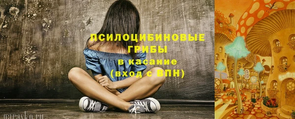 прущие крисы Алексин