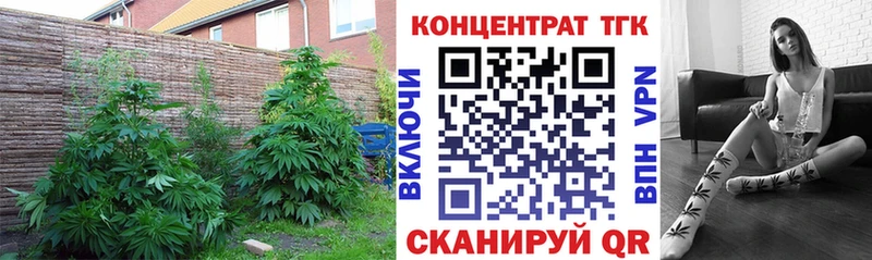ТГК вейп  mega зеркало  Поронайск  сколько стоит 